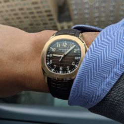 Wristcheck Patek Philippe